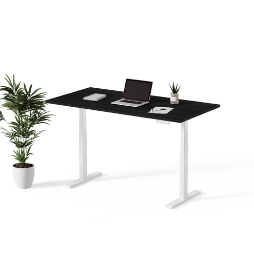 Kato | Sit - Stand Desk PRO - IVONO