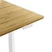 Toka | Sit - Stand Desk PRO - IVONO